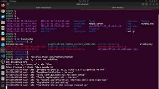 How to Install Postman on Ubuntu Linux