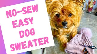 DIY Easy No Sew Sweater For Your Dog