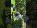 Just Beelieve Bee Removal. Outstanding job