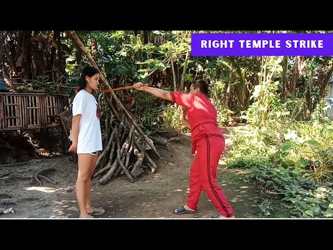 7 Stances, 12 Basic Strikes & 6 Blockings of ARNIS with FOOTWORKS