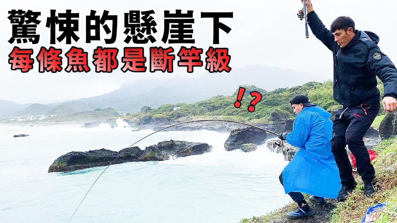 斷竿場! 這裡沒有小魚！做好斷竿的心理準備! 從沒見過這樣兇殘的傢伙！