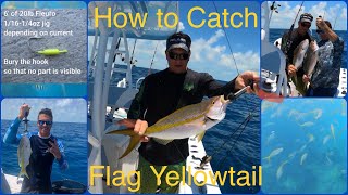 Yellowtail Snapper - How to Find and Catch in the Florida Keys Fishing Tips and Tricks