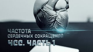 картинка: Частота сердечных сокращений. ЧСС