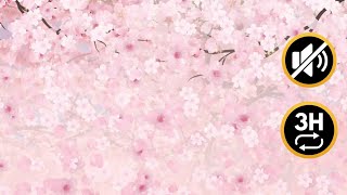 Floral Screensaver - Falling Cherry Blossom Petals Artwork | No Audio | HD screenshot 2