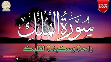 تلاوة هادئة ومريحة تسمعها قبل النوم💤 | سورة الملك - القارئ محمد هشام | Surah Al-Mulk