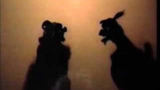 I Wayan Wija - Don't Hit My Important Organ