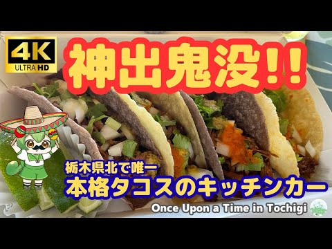 Appearing out of nowhere!! The only authentic taco food truck in