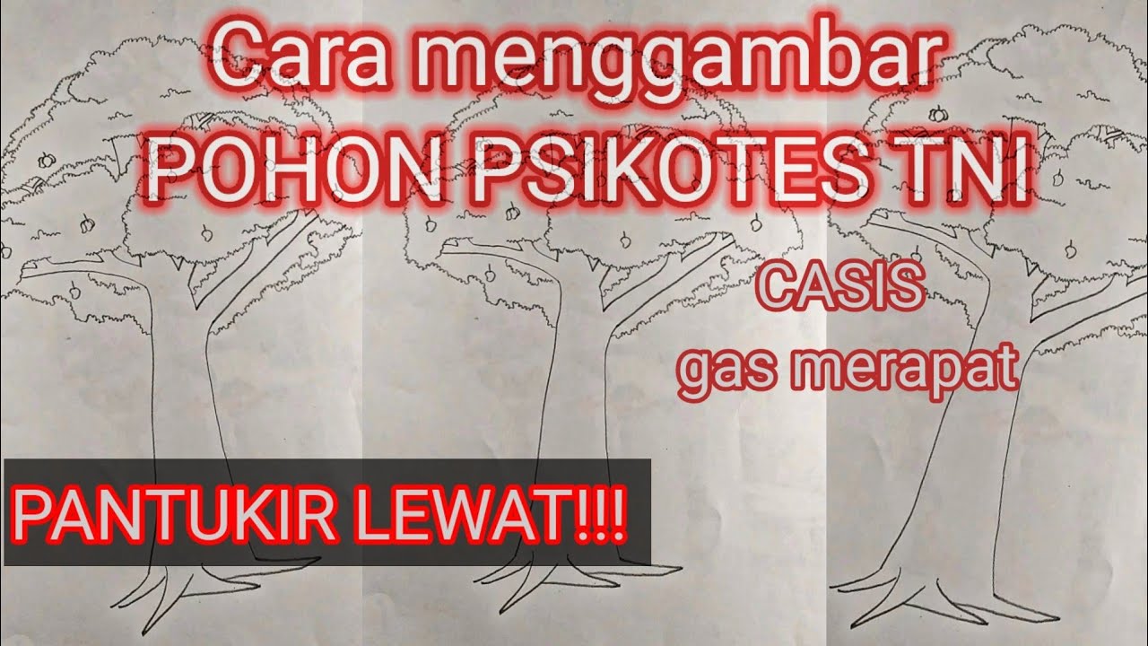 Cara mudah gambar pohon PSIKOTES TNI AL AU AD PART 1 