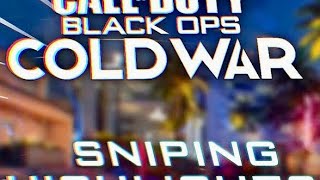 MrGoldMercy Call of Duty®: Black Ops Cold War Just imagine!