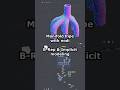 Manifold Pipe with nodi #computationaldesign #nodi