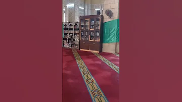 ماشى فى نور الله النقشبندي 