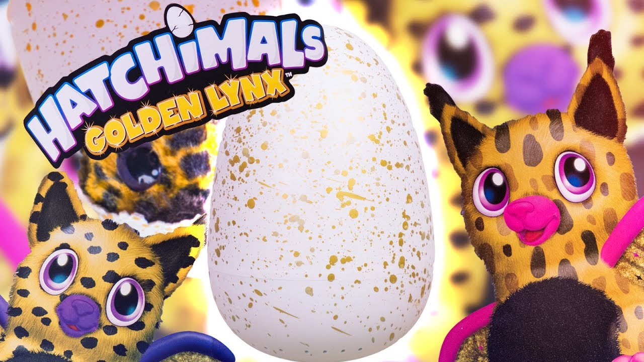 hatchimals golden lynx egg