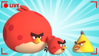 🔴 LIVE Angry Birds | August Monthly Mega Mix