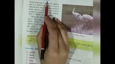 Class-3 EVS Lesson -7 (Part -2)