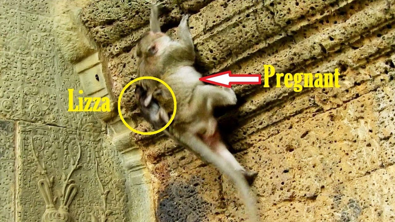 mom looking down from heaven Lizza Holding Back Mommy