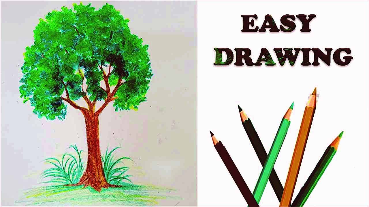 How to draw a simple easy tree || Simple tree drawing for new learners ...