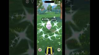 #ShinyVanillite #shinyvanillish #shinyvanilluxe #pokemongo #pokemon #vanillite #vannilish #vanilluxe
