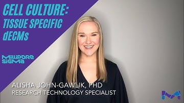 Tissue-Specific Decellularized Extracellular Matrix (dECM) Hydrogels for Cell Culture