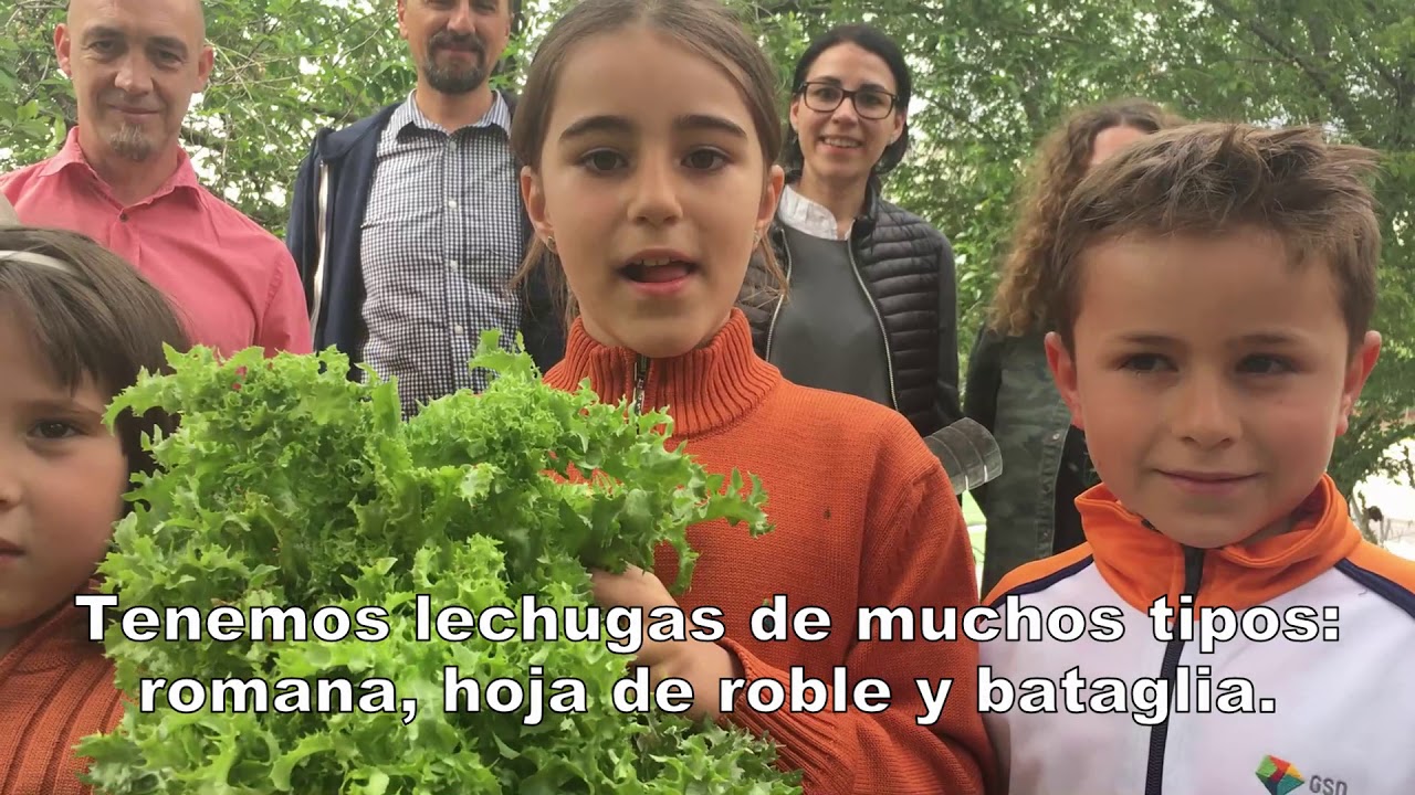 III Concurso de Huertos Escolares Sostenibles: GSD Vallecas