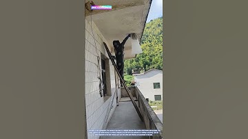 Beehive Removal: A Cautious Approach to Pest Control