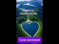 Cила желания e#взаимодействие  #психология #любовь