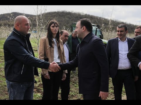 რეგიონული ტურნეს ფარგლებში, პრემიერ-მინისტრი ბოლნისში იმყოფებოდა