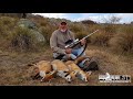 Fox Hunting In the New England with the Silva Fox Whistle and Ron Kiehne.