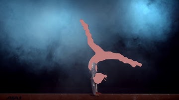 Semantic Segmentation / short video test of ResNet-38 model