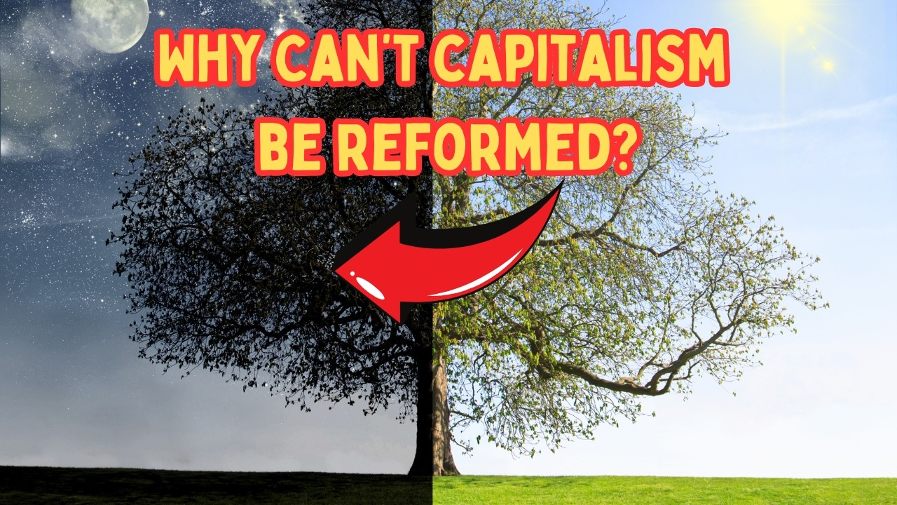 Why Can’t Capitalism Be Reformed? - YouTube