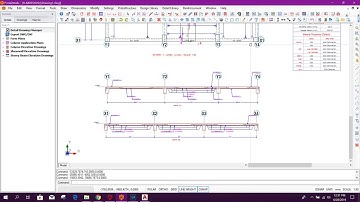 Auto Dimension & Section Details in Prota Structure
