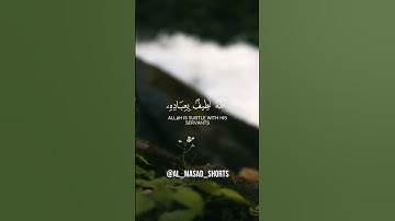 الله لطيف بعباده │ سعد أزويت│ سورة الشورى