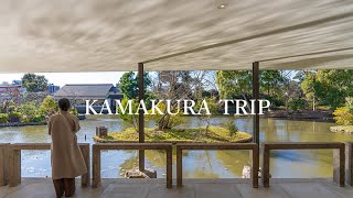 【鎌倉vlog】夫婦ふたり日帰り旅行\/鎌倉野菜に食べ歩き、美味しいお酒に古民家アンティークショップ巡りまで\/鎌倉観光\/半日