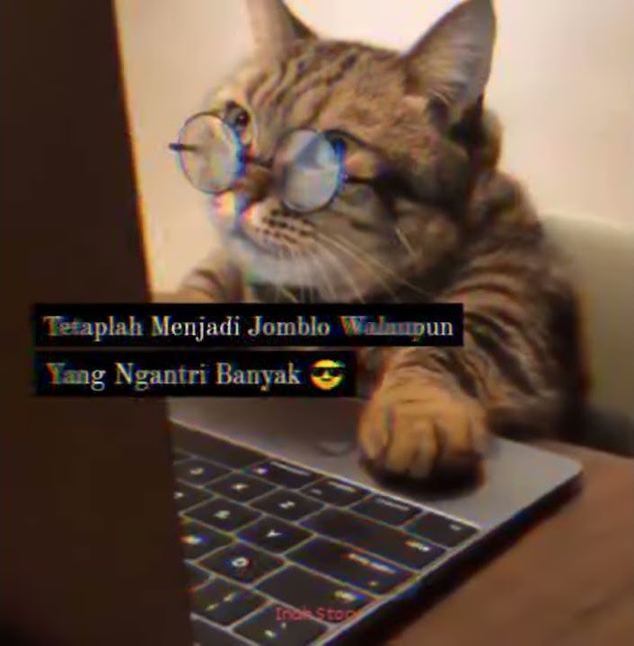 story wa keren durasi 20 detik