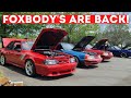 FOXBODY CAR SHOWS ARE BACK!  // SECOND SATURDAY SWAP MEET AT FOXRESTO