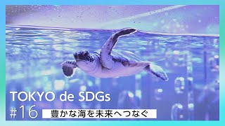 TOKYO de SDGs＃16 すみだ水族館