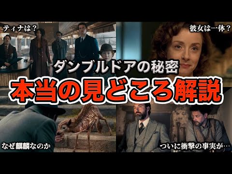 【難解だった？】ファンタビ3の「ダンブルドアの秘密」はこの動画を観れば間違いなく理解出来ます