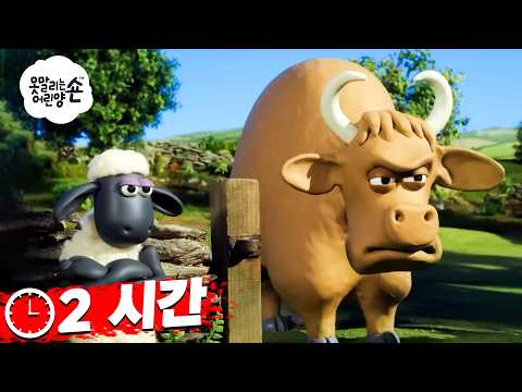 숀과 화난 황소의 모험! 🐑🐂✨ | 숀 더쉽 시즌 3 전체 에피소드 🐑