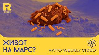 :   ? [Ratio Weekly   ]