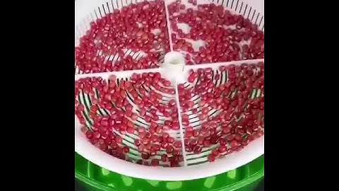 Advanced Digital Sprouts Machine