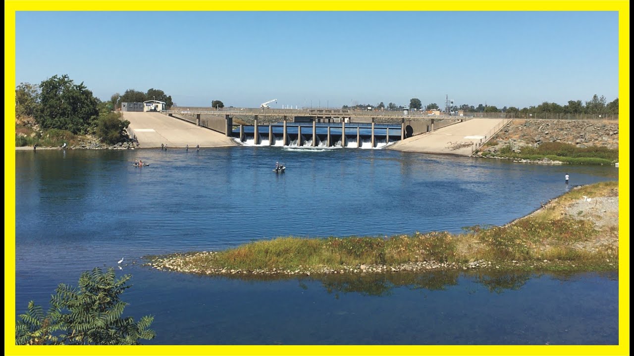 SALMON FISHING REPORT for the FEATHER RIVER BATTING ZERO YouTube