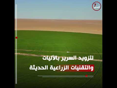 بإشراف الجهاز الوطني للتنمية استعدادات مكثفة لاستقبال موسم الحصاد في مشروع السرير الشمالي