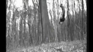 Wallflips