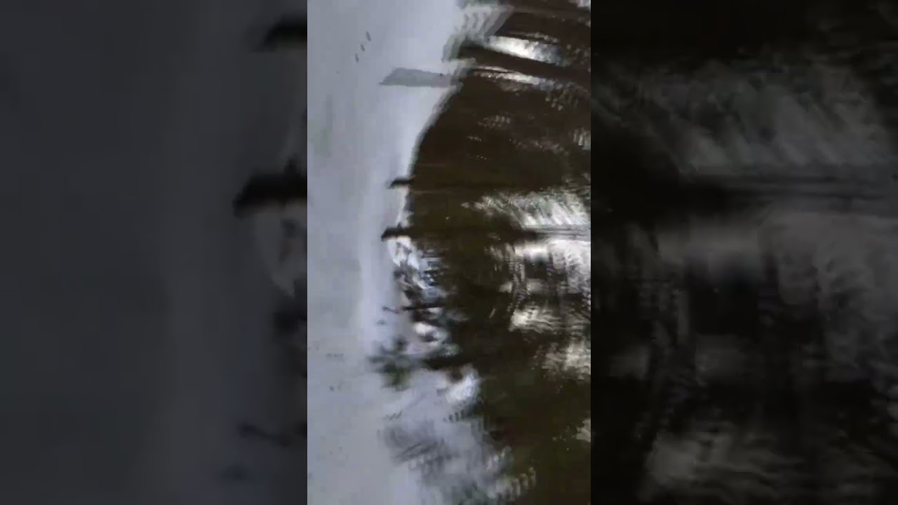 Happy Woman’s Day ❤️‍🔥 