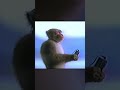 10 hours on my channel