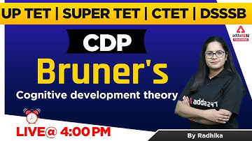 CTET/UPTET/SUPER TET/DSSSB 2022 | CDP | Bruner