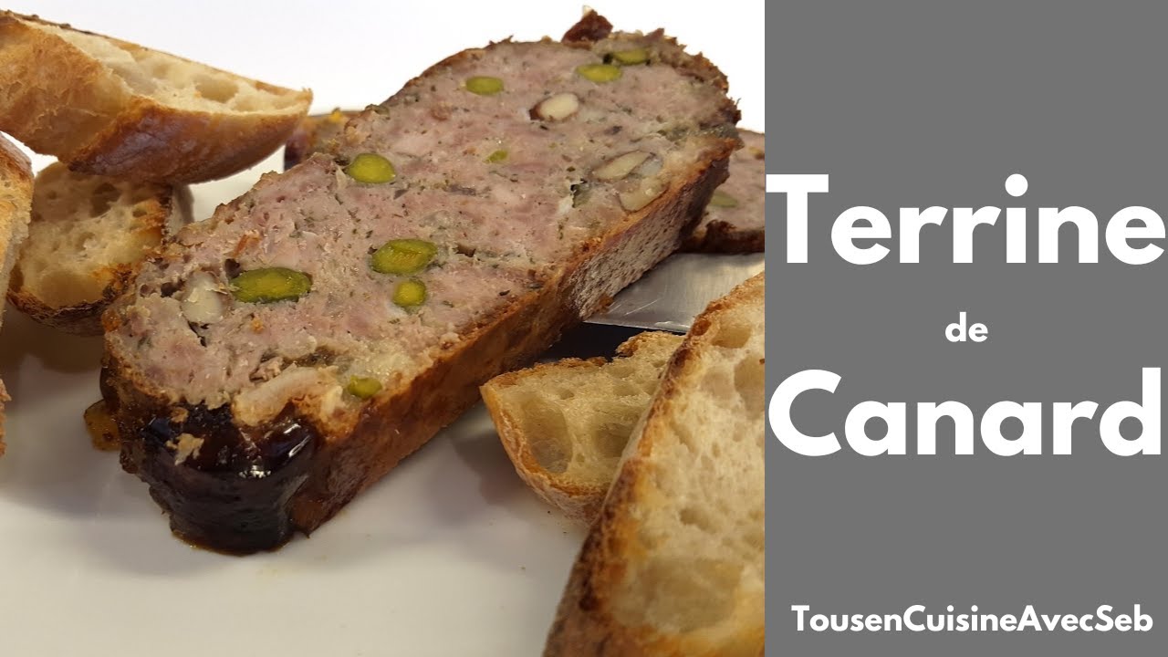 Terrine De Canard Tousencuisineavecseb Youtube