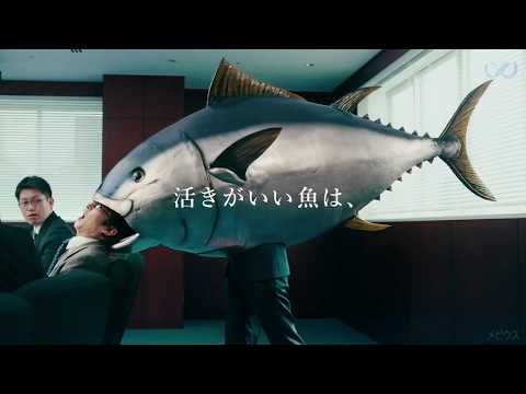 銀のさら 活きがいい魚 回転しない魚 CM
