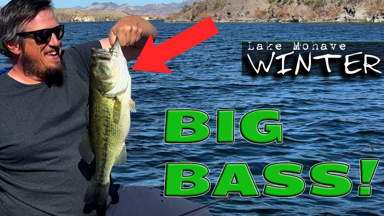 Winter Bass Fishing on Lake Mohave – Tough Bite, Big Bass!