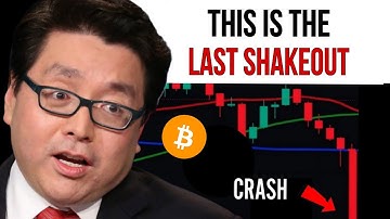 Tom Lee over wat er werkelijk achter deze Bitcoin-uitverkoop zit en wat we hierna kunnen verwachten.