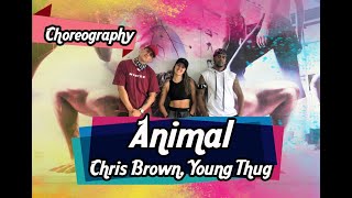 Animal - Chris Brown, Young Thug (Choreography/Coreografia) | Filipinho Stemler